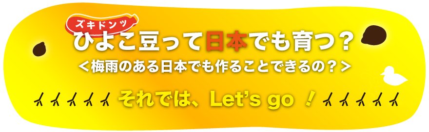 ペットボトル栽培