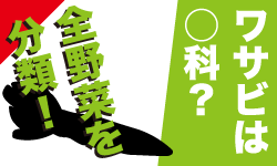 ワサビと他の野菜の種類