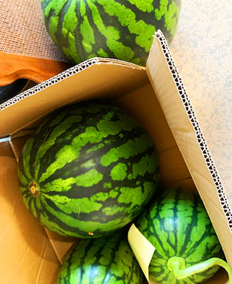 頂き物スイカ2020