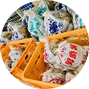 ジャガイモタネ