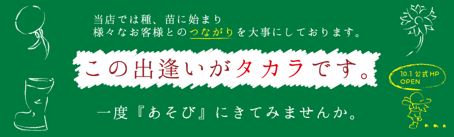 当店について