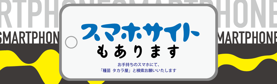 スマホサイト